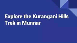 Explore the Kurangani Hills Trek in Munnar