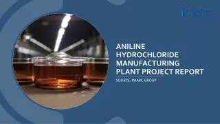 Aniline Hydrochloride Manufacturing Project Report 2024 Edition