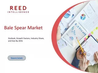 Bale Spear Market