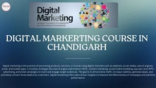 DIGITAL MARKERTING COURSE IN CHANDIGARH (1)