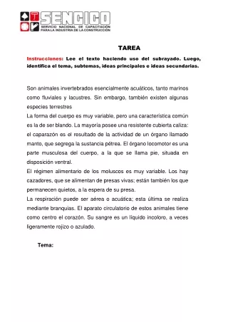 EVIDENCIA DE APRENDIZAJE- TEMA, SUBTEMA, IDEA PRINCIPAL E IDEAS SECUNDARIAS