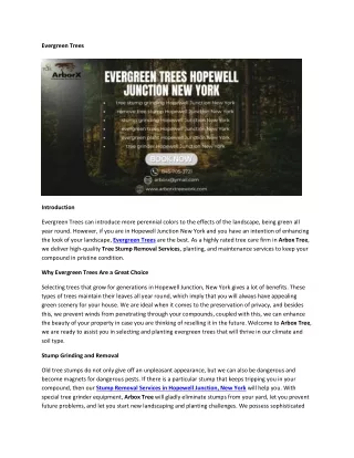 Evergreen Trees