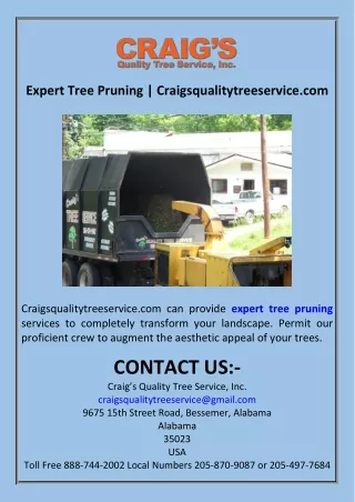 Expert Tree Pruning  Craigsqualitytreeservice.com
