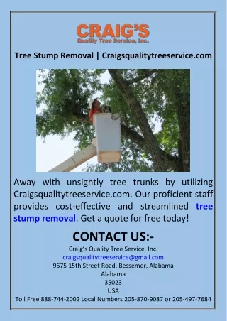 Tree Stump Removal  Craigsqualitytreeservice.com