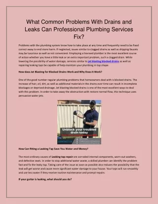 What Common Problems With Drains and Leaks Can Professional Plumbing Services Fix