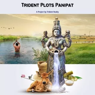 trident plots panipat trident plots panipat