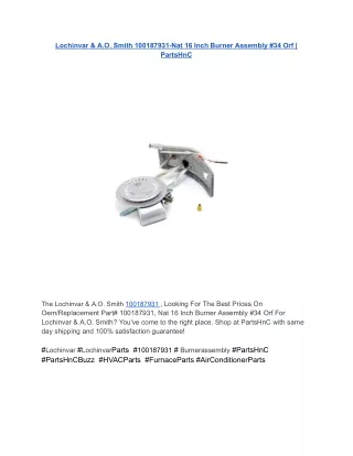 Lochinvar & A.O. Smith 100187931-Nat 16 Inch Burner Assembly #34 Orf _ PartsHnC