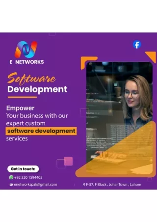 software development-01 (1)