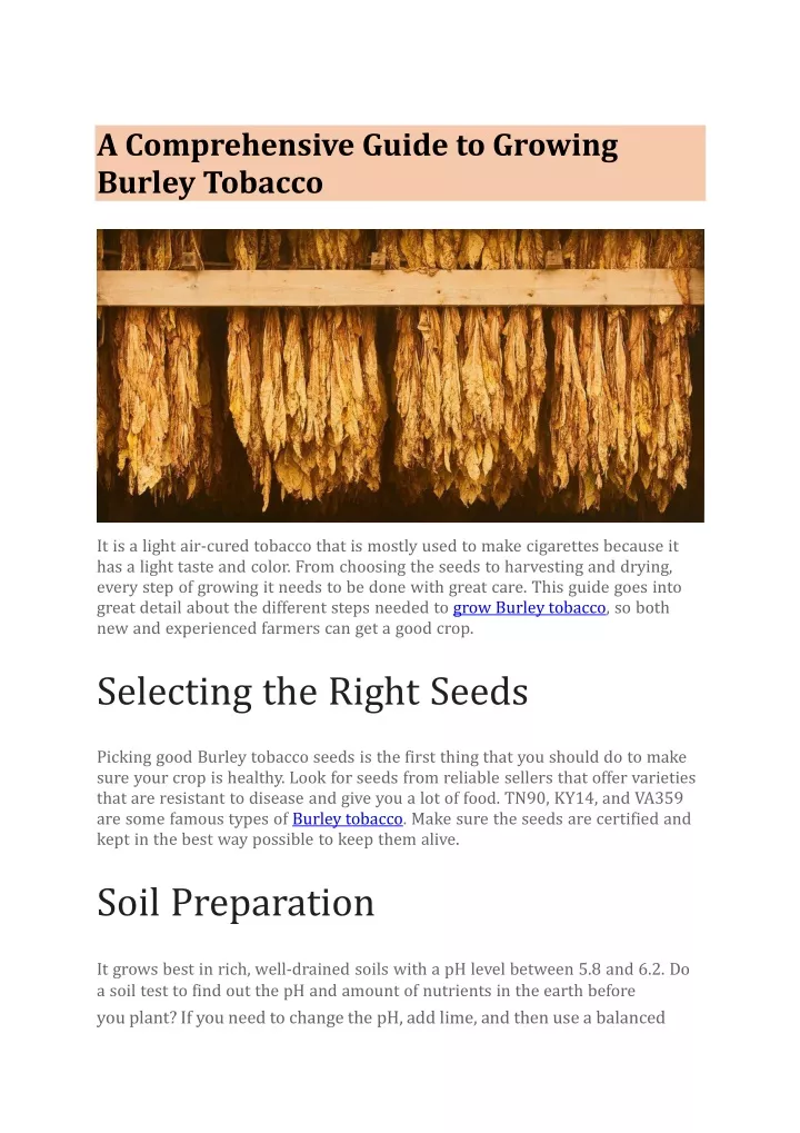 a comprehensive guide to growing burley tobacco