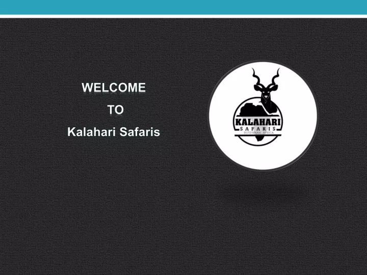 welcome to kalahari safaris