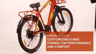 frame focus customizing e bike frames