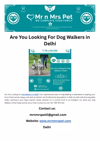 Are You Looking For Dog Walkers in Delhi