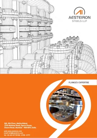 flanges expertise