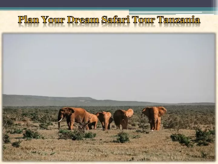 plan your dream safari tour tanzania