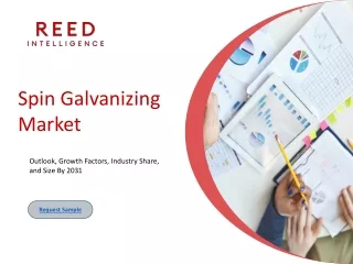 Spin Galvanizing Market Size, Share & Trends Analysis Report