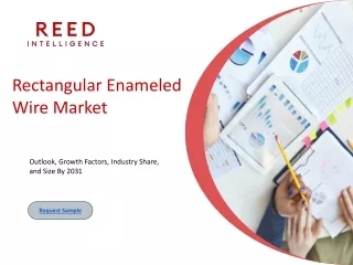 rectangular enameled wire market