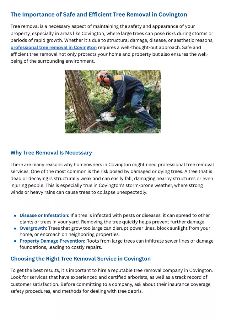 the importance of safe and e cient tree removal