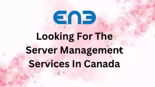 looking for the server management services