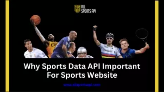 Why Sports Data API Important For Sports Website