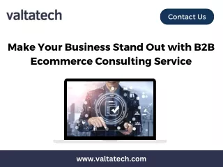 Make Your Business Stand Out with B2B Ecommerce Consulting Service