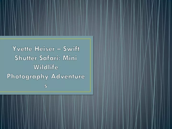 yvette heiser swift shutter safari mini wildlife photography adventures