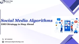 The Role of Social Media Algorithms in Shaping Online Interactions