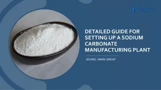 Setting Up a Sodium Carbonate Manufacturing Unit PDF