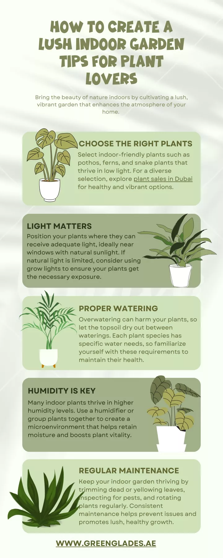 how to create a lush indoor garden tips for plant