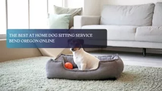 The Best At Home Dog Sitting Service Bend Oregon Online