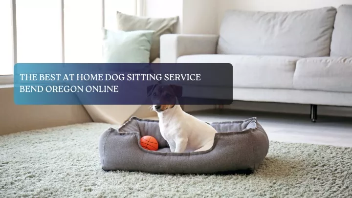 the best at home dog sitting service bend oregon