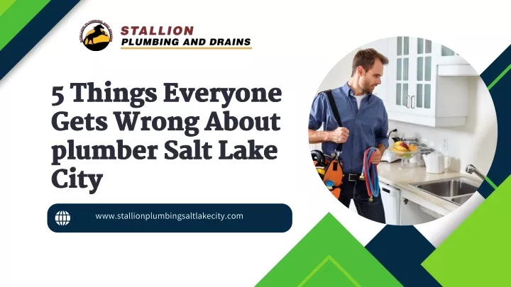 www stallionplumbingsaltlakecity com