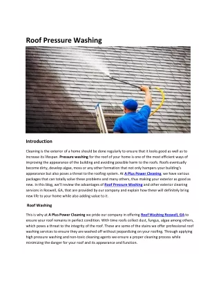 Roof Pressure Washing