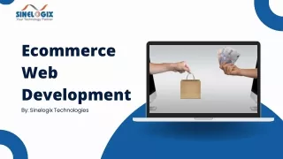 Best E-commerce website development in India | Sinelogix