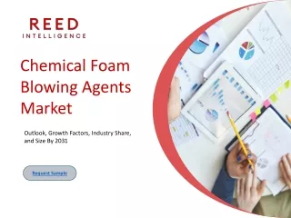 Chemical Foam Blowing Agents Market Size, Share & Trends Analysis Report