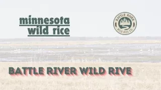 Minnesota Wild Rice - Nutritious, Gluten-Free, and Naturally Grown