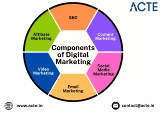 contact@acte in