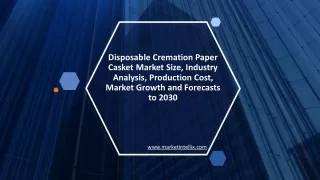 Disposable Cremation Paper Casket Market Size, Industry Analysis, Production Cost, Market Growth and Forecasts to 2030