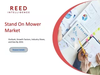 Stand On Mower Market