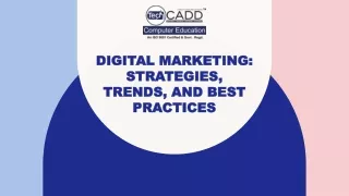Best Digital Marketing Training and Course Jalandhar, Punjab