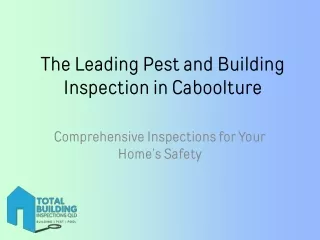 The Leading Pest and Building Inspection in Caboolture