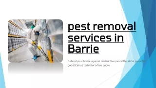 Pest removal service in Barrie