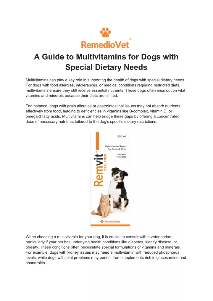 a guide to multivitamins for dogs with special