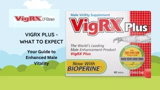 vigrx plus what to expect