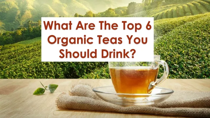 what are the top 6 organic teas you should drink