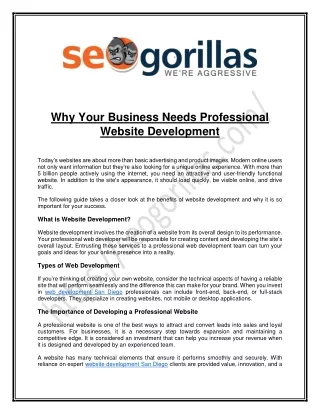 why your business needs professional website