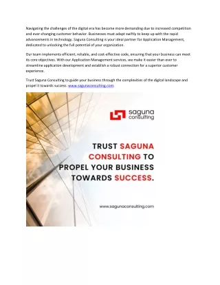 Saguna Consulting