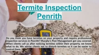 Termite Inspection Penrith