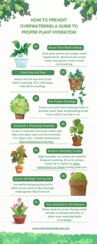 How to Prevent Overwatering A Guide to Proper Plant Hydration