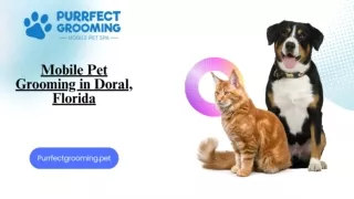 Mobile Pet Grooming in Doral, Florida