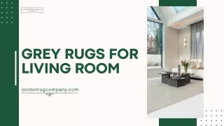 Grey Rugs For Living Room